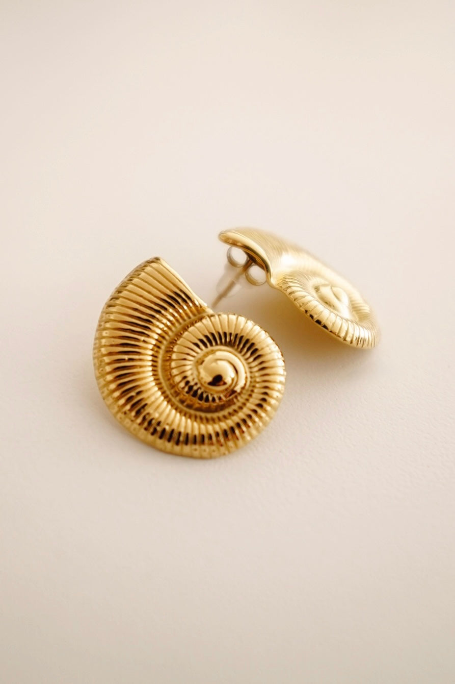 Brincos Caracol Pequenos