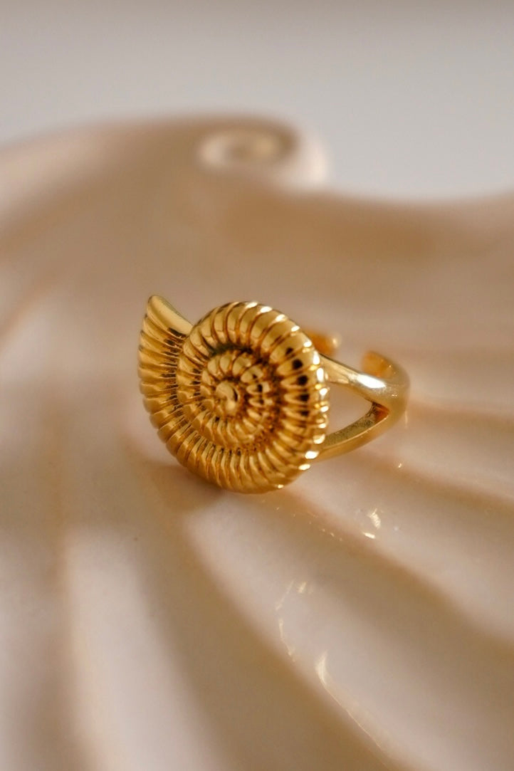 Anel Caracol