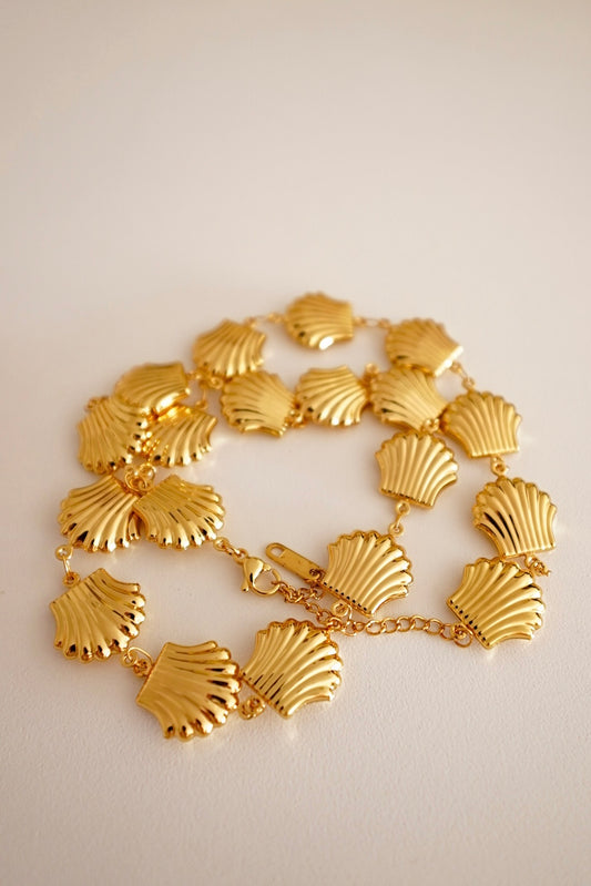 Colar Conchas